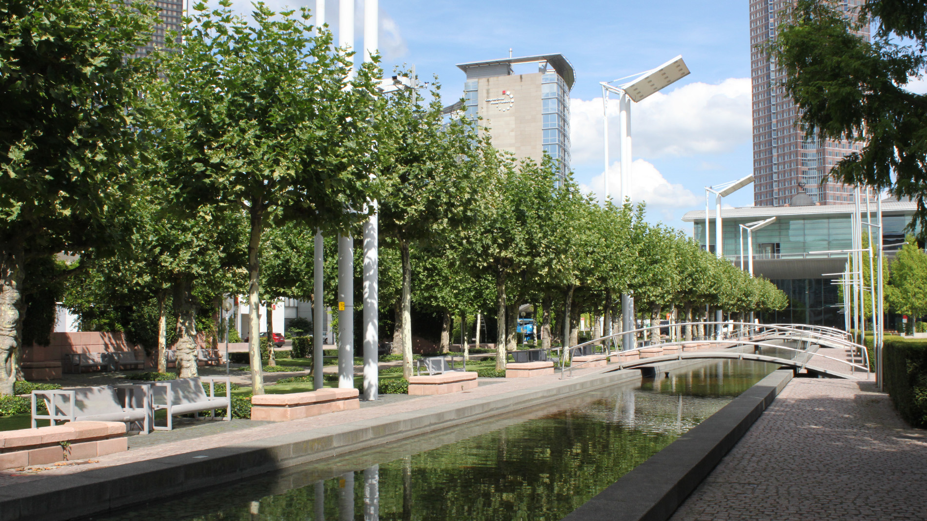 Trees at the fair ground